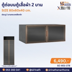 ตู้เสื้อผ้า 2 บานเปิด (2 บานกระจกสีชาดำ)
