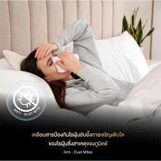 ที่นอนสปริงเสรมชั้นโฟมหนาพิเศษ รุ่น Fantastic