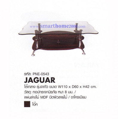 JAGUAR