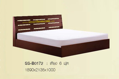 SS-W0172