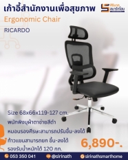 เก้าอี้ทำงานเพื่อสุขภาพ (Ergonomic Chair) รุ่น RICARDO (ริคาร์โด้)